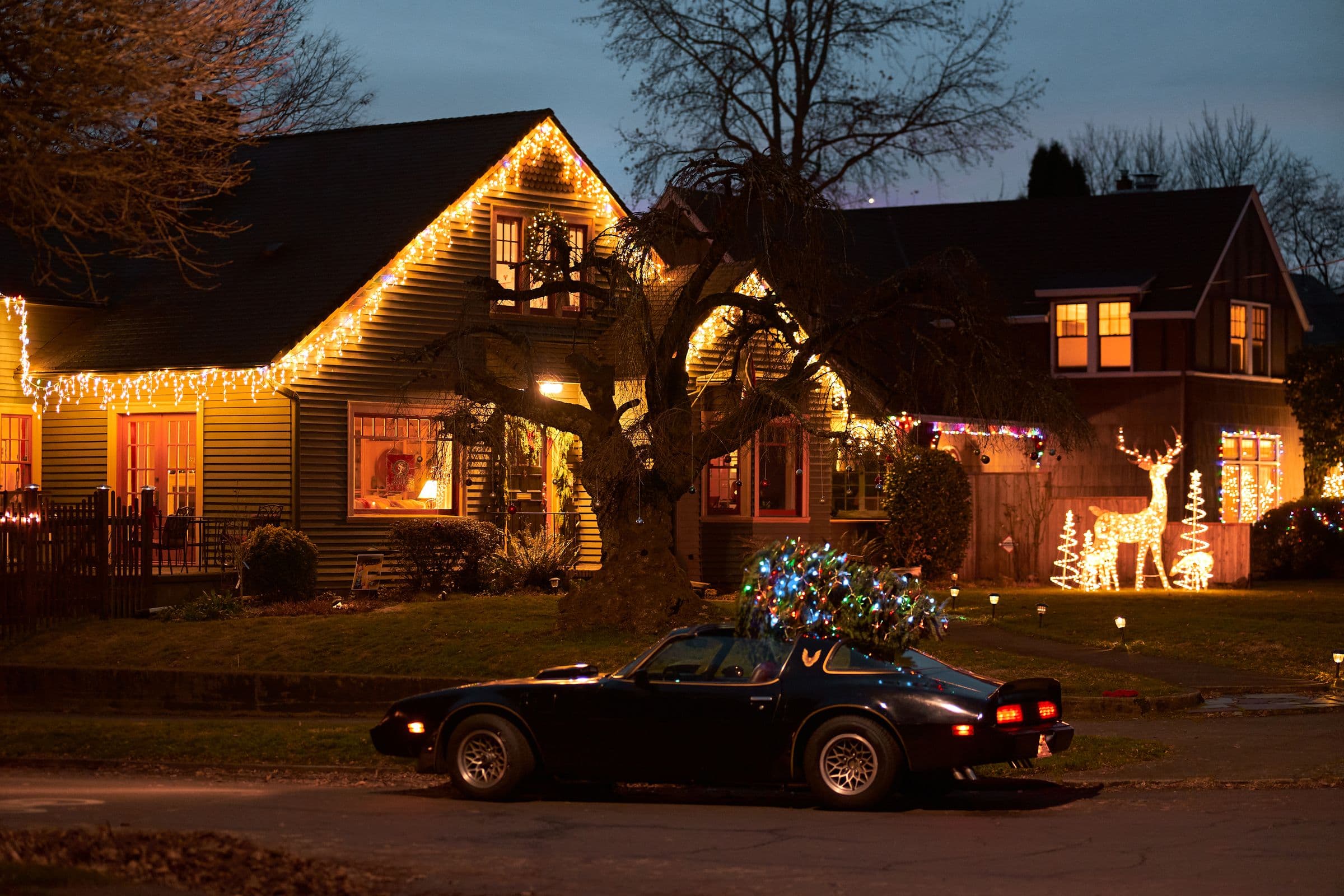 Suburban home at dusk with warm white Christmas lights outlining the rooflines and gables, neighbouring houses lit down the street